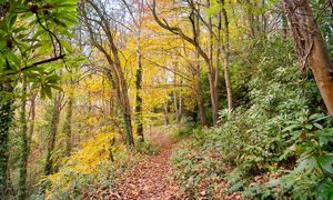 Photo 29- click for photo gallery